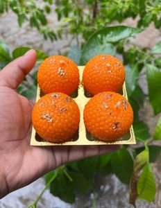 Soyewax premium Laddu candle