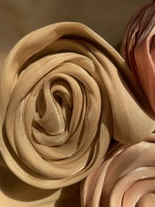 Imported Premium Shimmer Organza Hijab