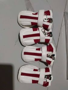 NOOTIE DOG SHOES