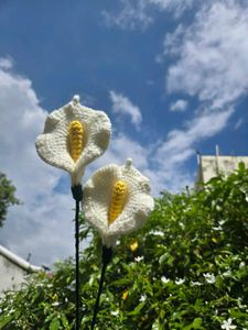 Handmade Crochet Calla Lily