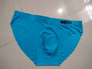 MAML Single Layer Brief