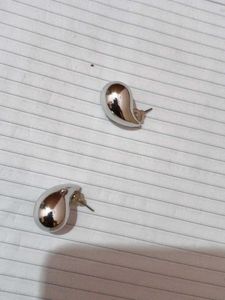 Silver Tone Hoop Earrings