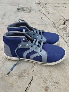 Sneakers for Men (Blue) ।। SIZE : UK 12