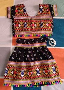 Embroidered Choli and Skirt Set