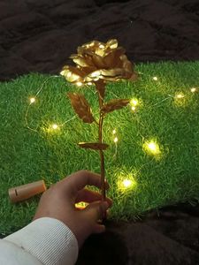Golden Rose