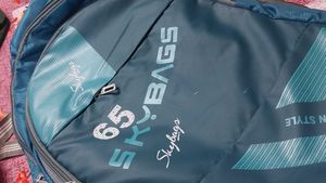 Skybags Backpack