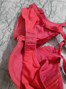 Beautiful Red Embroidered Bra phusup