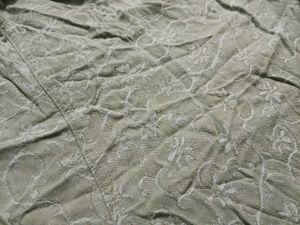 Light Green Embroidered Palazzo Pants