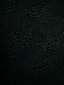 Emporio Armani Monogram