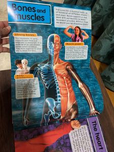 Amazing Body 3D Sticker Fun Book