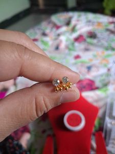 Elegant Gold Stud Earrings