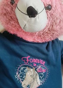 teddy bear toy