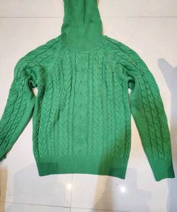 Max Green Turtleneck Sweater