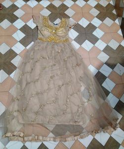 Ethnic Gown