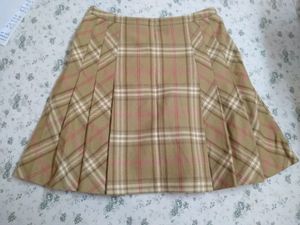 winter skirt