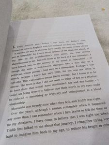 The Shadow Lines by Amitav Ghosh