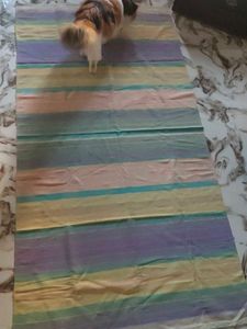 carpet