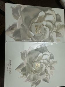 ahmed al maghribi musk and roses