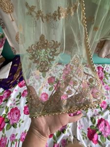 Embroidered Lehenga Choli