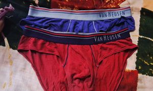 Van Heusen Men's Underwear - 2