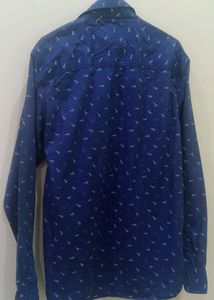 Blue Shirt