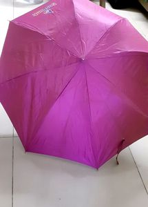Pink Umbrella