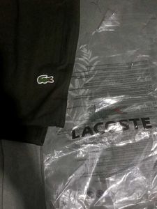 Lacoste Sport Sweatpants green