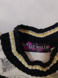 Woollen Jersi