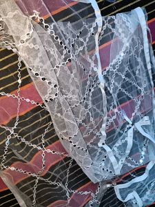 Embellished White Net Dupatta
