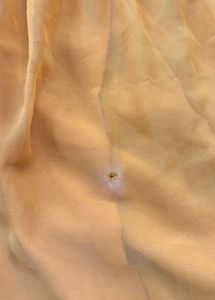 Elegant Mustard Kurta Set with Embellishments
