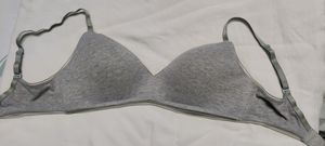 Enamor padded bra