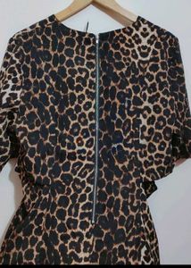 Brown Lion Printed Dress For 36 Bust