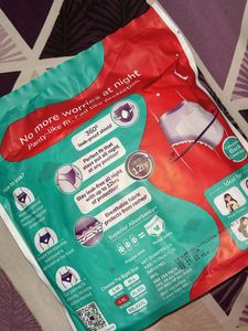 Ever Eve Overnight Period Panties L-XL