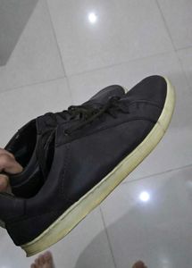 Casual Brown Sneakers