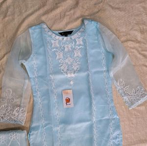 Beautiful Designer Pakistani Suit Set