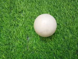 pack of 6 Balls (sponge &amp; plastic)