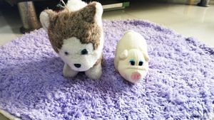 Stuffed Animal Duo: Husky & Pig