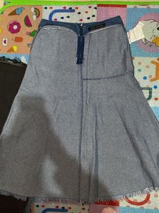 Denim A-Line Skirt