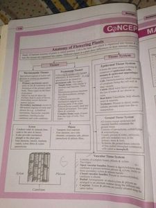 Class 11 Biology Textbook