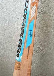 cricket bat