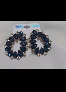 Beautiful Earrings Only At Rs 99