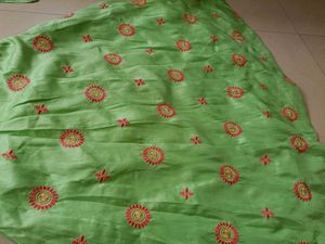 Elegant Lime Green Embroidered Gown