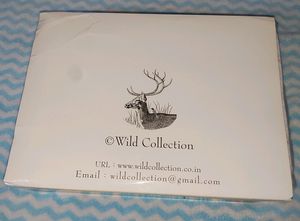 Wildlife Craft Collection 👌