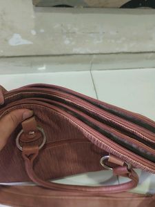Baggit Handbag