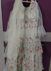 Elegant Ethnic Gown