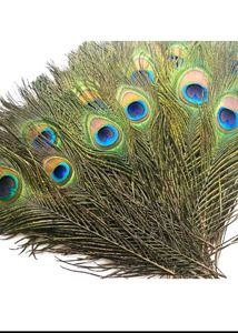 Elegant Peacock Feather Decor(8)