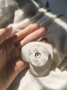 pompompurin pop socket