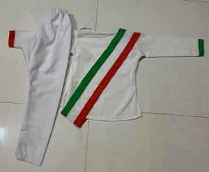 Indian Flag Inspired Costume