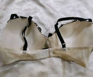Elegant Embroidered Bra