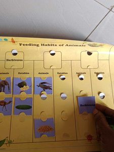 Animal Feeding Habits Puzzle